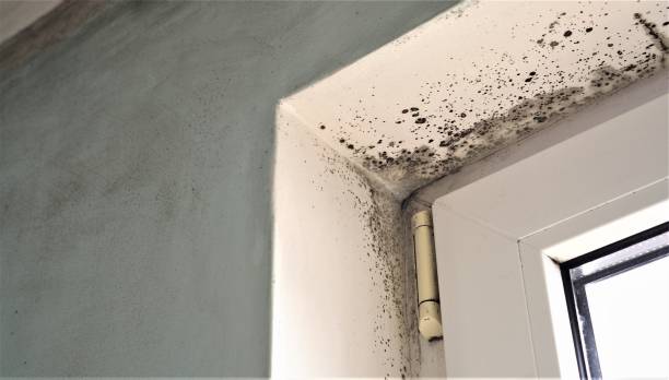 Best Mold Remediation for Healthcare Facilities  in Lake Don Pedro, CA