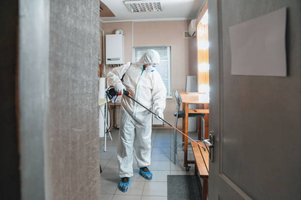 Mold Odor Removal Services in Lake Don Pedro, CA