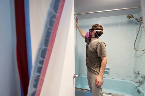 Best Commercial Mold Inspection  in Lake Don Pedro, CA