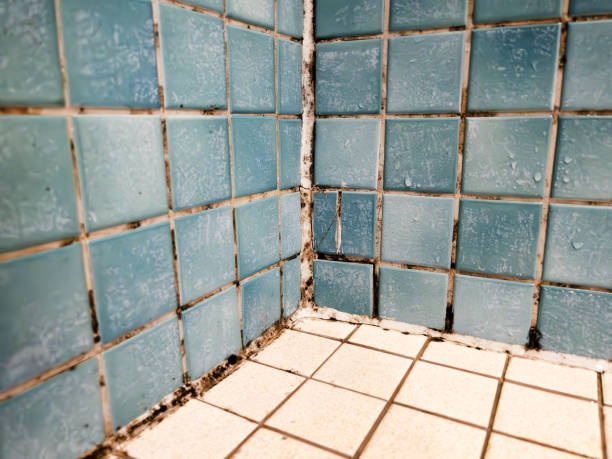 Best Asbestos and Lead Testing During Mold Inspection  in Lake Don Pedro, CA